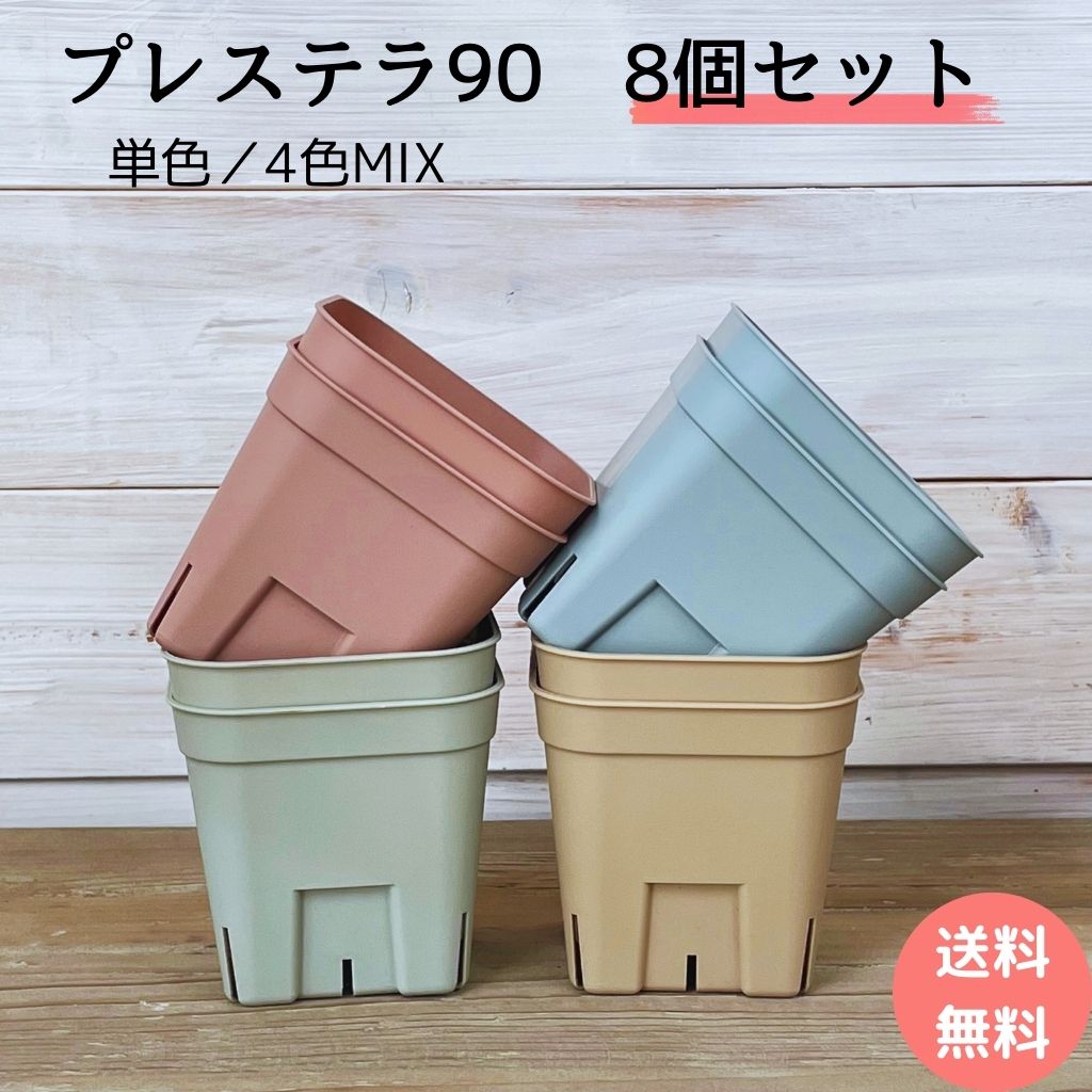 楽天市場】スリット鉢 プレステラ 8個セット 多肉植物 鉢 プレステラ