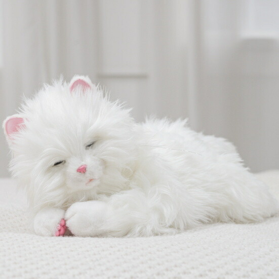 楽天市場】あなたのパートナー しっぽふりふり あまえんぼう 子ねこ