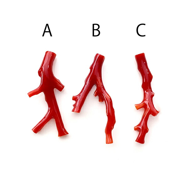 楽天市場】血赤珊瑚レッドサンゴ（枝）A〜F大きさ 約36〜45×13〜27mm穴