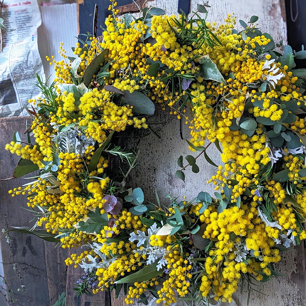 楽天市場】【週間ランキング一位受賞】ミモザ リース 玄関飾り 春 セミ