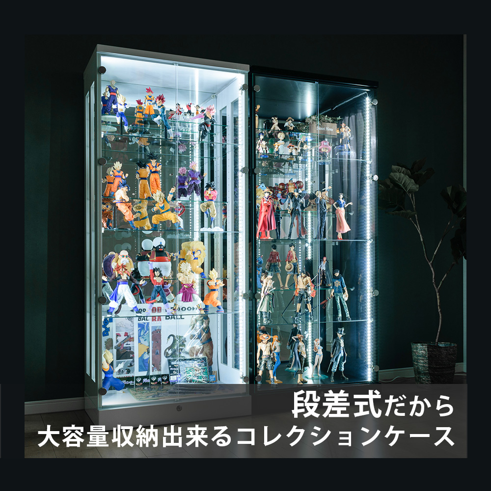 楽天市場】【ポイントアップ中！〜2/23(月)23:59】 コレクションケース