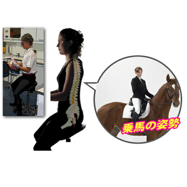 楽天市場】Salliチェアー[Salli Sway] ミドルタイプ (ブラック) ※開封