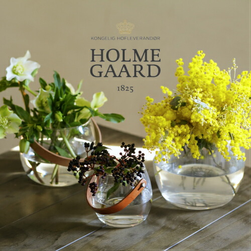 楽天市場】ホルムガード ヒヤシンスの通販