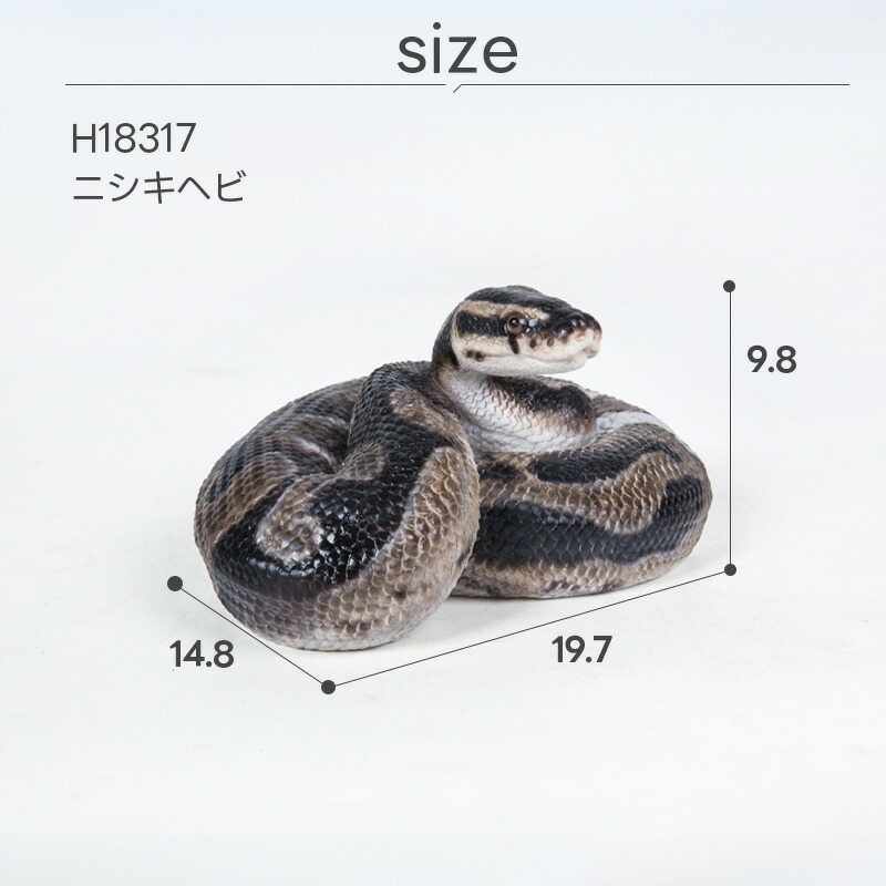楽天市場】【受注生産のため発送まで約40日】ニシキヘビ 蛇 へび