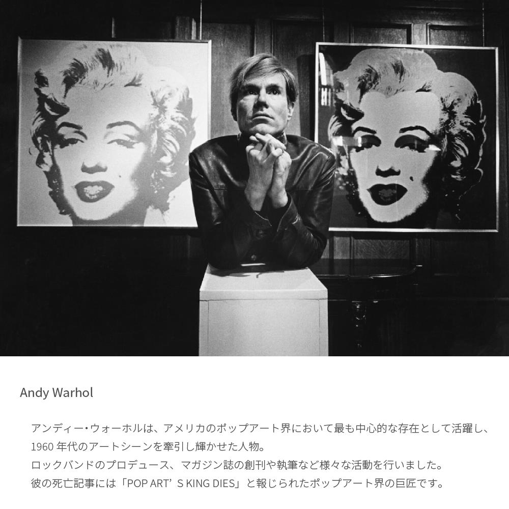 楽天市場】アートパネル アンディーウォーホル 42.5×42.5cm 絵画