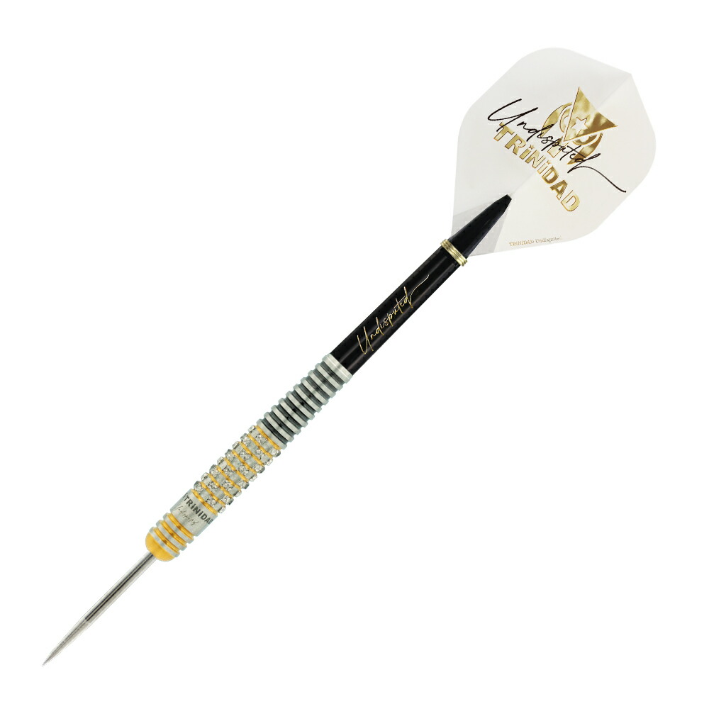 楽天市場】ダーツ バレル TRiNiDAD Undisputed RICARDO α 浅田斉吾