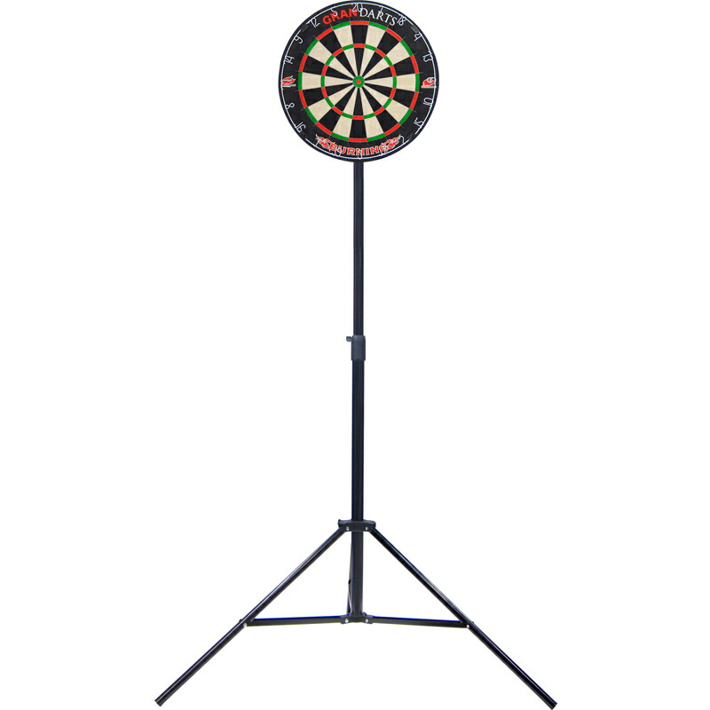 楽天市場】ダーツボード セット グランボードダッシュ ブルー & グラン