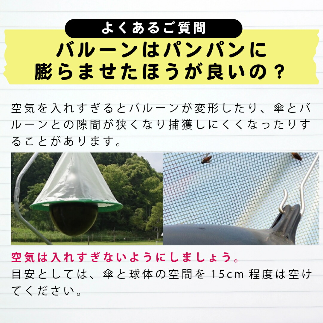 楽天市場】【 早期割キャンペーン+次回購入に使えるクーポン付き｜アブ