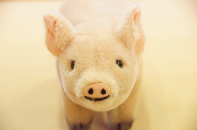 楽天市場】【在庫あり】Kosen ケーセン ドイツ製 ぬいぐるみ こぶた