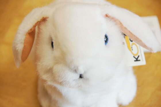 楽天市場】【在庫あり】Kosen ケーセン ドイツ製 ぬいぐるみ たれ耳