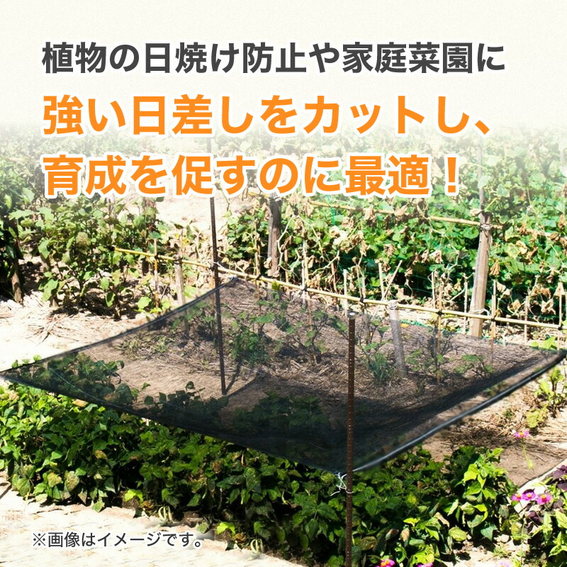 楽天市場】【公式】 遮光ネット ラッセル遮光網50K 50% 2mx4m 黒 経済