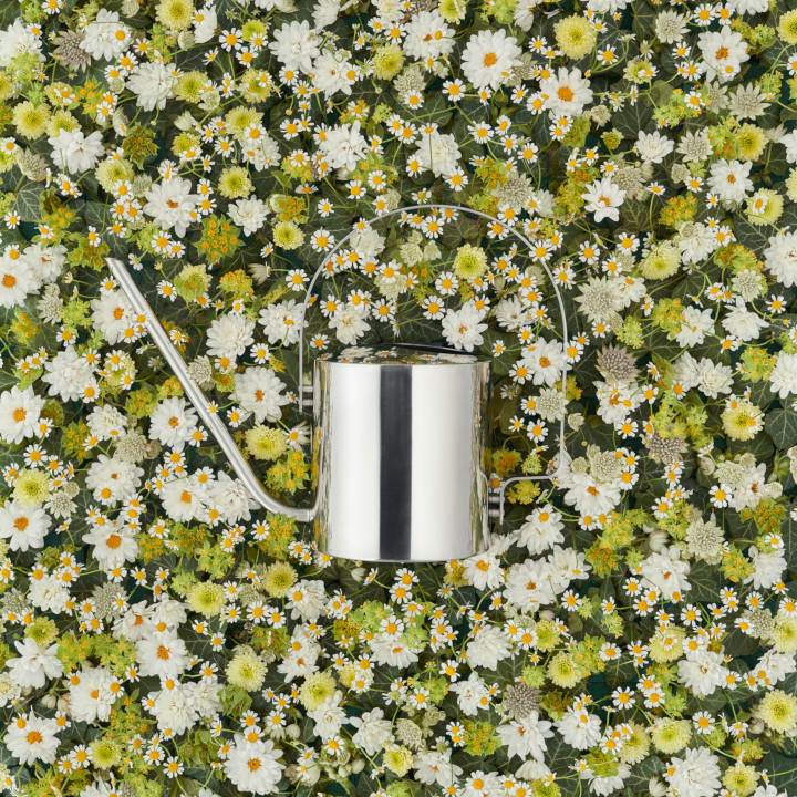 楽天市場】stelton ステルトンOriginal Flower Watering Can 1.7L