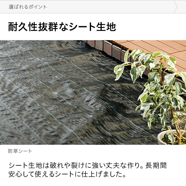 楽天市場】[即日出荷] 防草シート ピン 幅2m×100m 雑草防止 除草シート