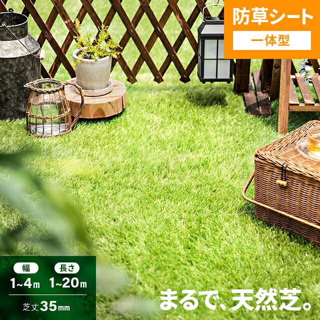 楽天市場】[即日出荷] 人工芝 ロール 2m×10m 防草シート一体型 芝丈