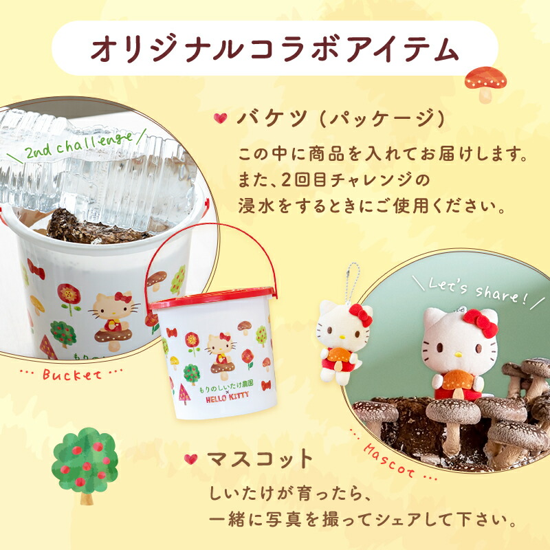 楽天市場】【在庫限り！49%OFF】もりのしいたけ農園×HELLO KITTY
