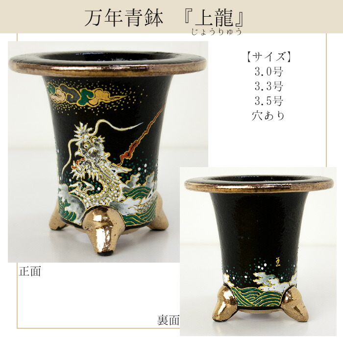 楽天市場】◇京楽焼窯元「愛楽園」直送◇『万年青鉢（おもと鉢） 額