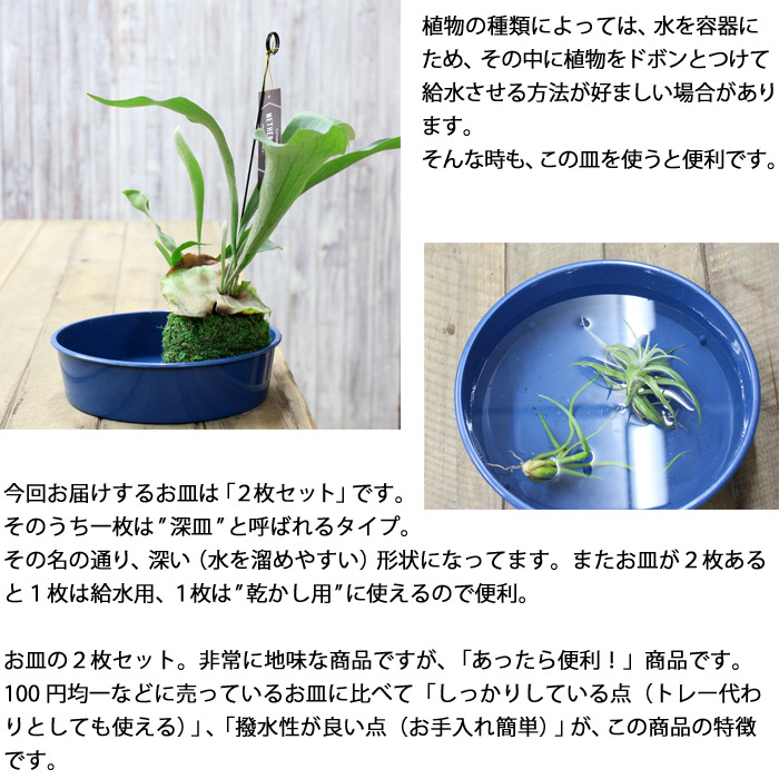 楽天市場】実はこれ、あると非常に便利です！道具が揃うと、植物も