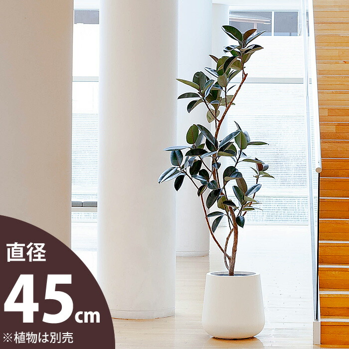 楽天市場】ぽってり可愛い鉢カバー【 植木鉢 大型 鉢カバー 10号 用 鉢