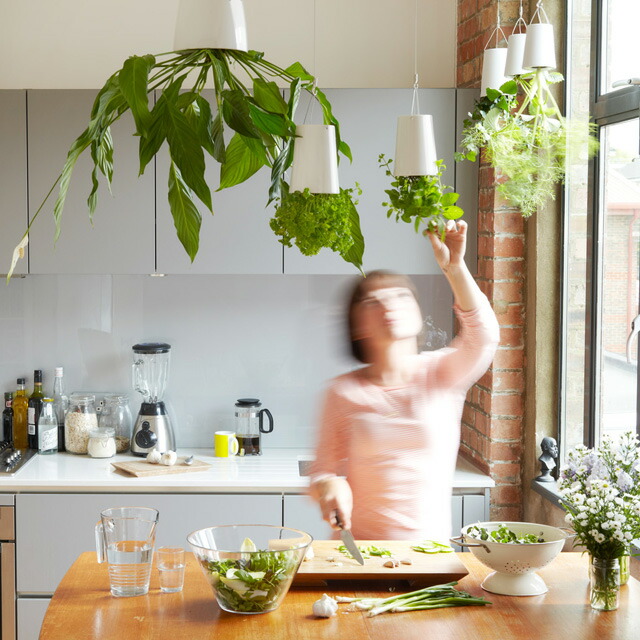 楽天市場】【おしゃれな植木鉢】スカイプランター・リサイクルド M
