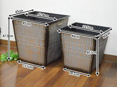 楽天市場】☆新春クリアランス30%OFFクーポン発行中！☆ 男前 角 大型