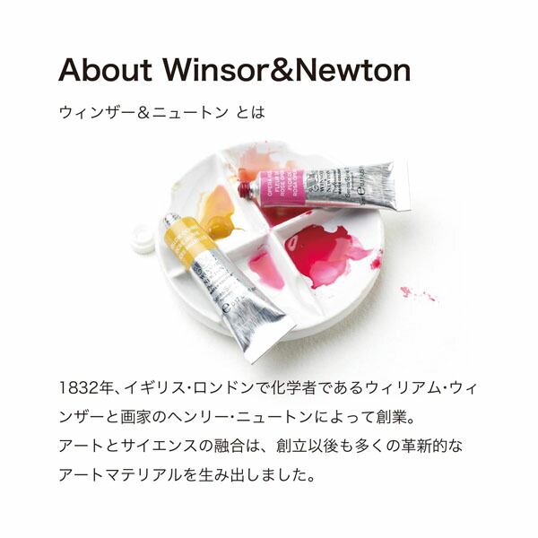 楽天市場】ウィンザー＆ニュートン水彩絵具セット 24色セット : 陶芸