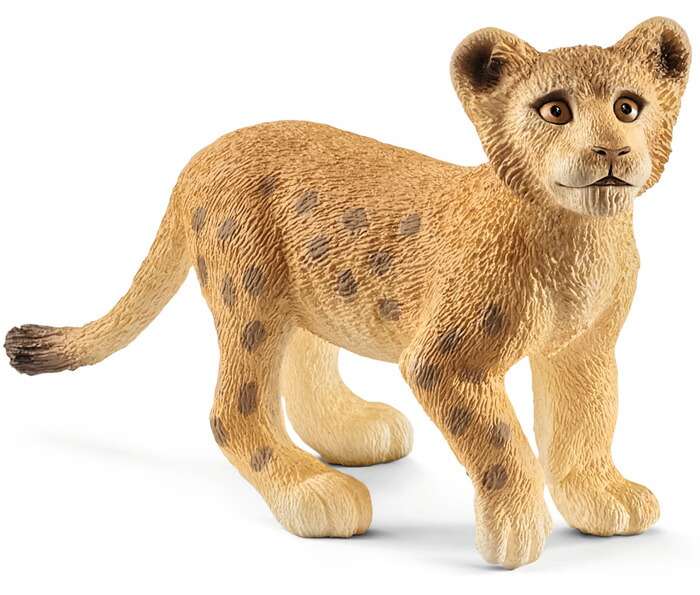 楽天市場】シュライヒ 動物フィギュア ライオン（仔） 14813【Schleich