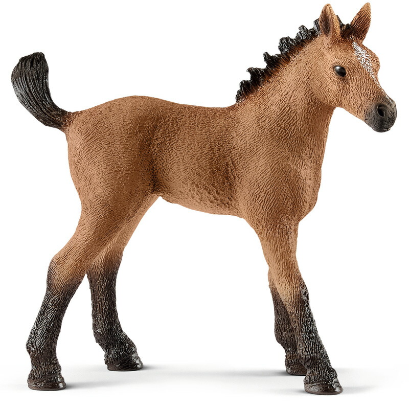 楽天市場】シュライヒ 動物フィギュア クォーター馬 （仔） 13854