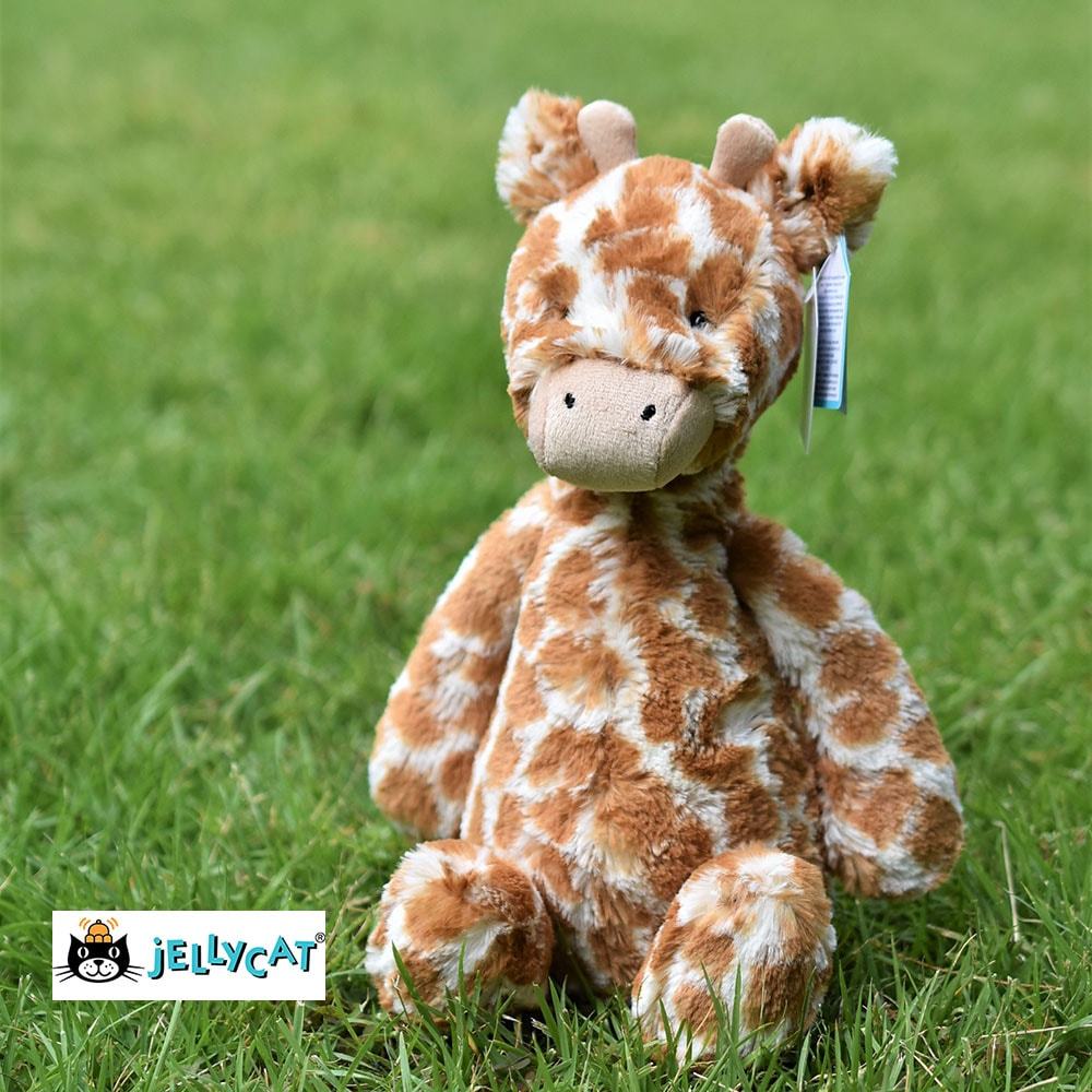 楽天市場】【正規販売代理店】 Jellycat Bashful Giraffe Medium