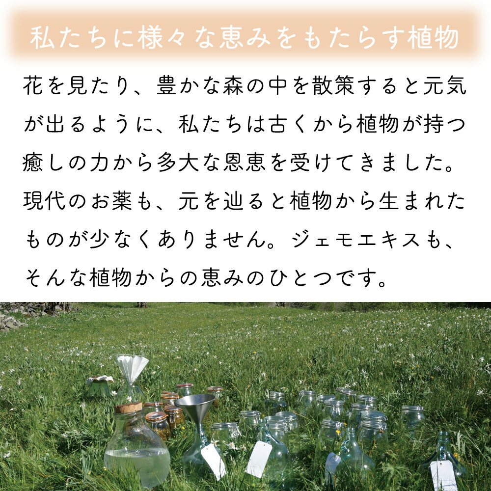 楽天市場】ジェモセラピー クルミ おなか バランス 腸活 無添加 無農薬