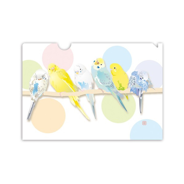 楽天市場】A5クリアファイル ☆パステルカラーズ ◇ゆうパケット対応