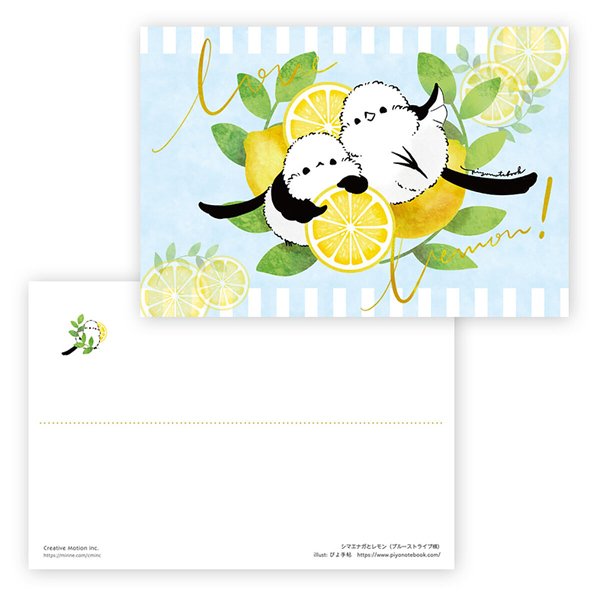 楽天市場】ポストカード 5枚セット ☆シマエナガとレモン ◇ゆう
