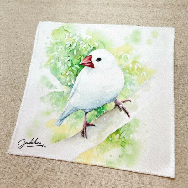 楽天市場】水彩画ハンドタオル 白文鳥 ◇ゆうパケット対応◇ ことり
