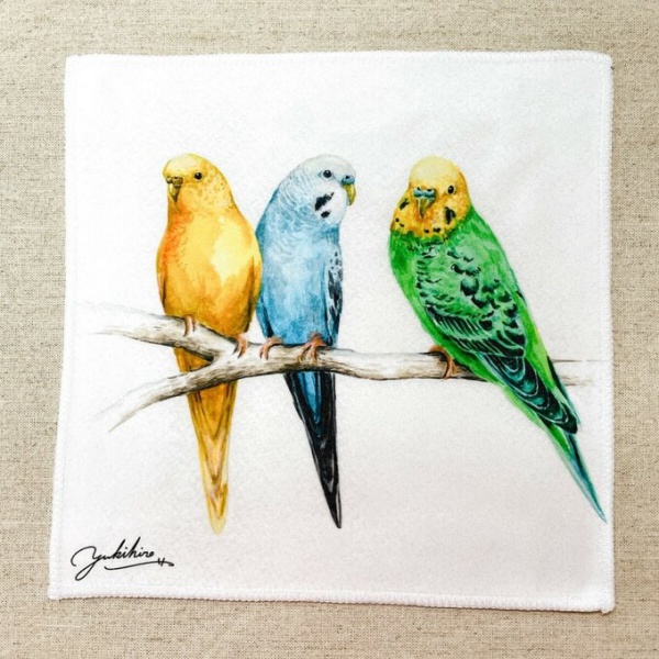 楽天市場】水彩画ハンドタオル セキセイインコ ◇ゆうパケット対応