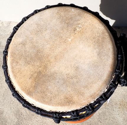 楽天市場】【送料無料】プロフェッショナル・ジャンベ（ジェンベ