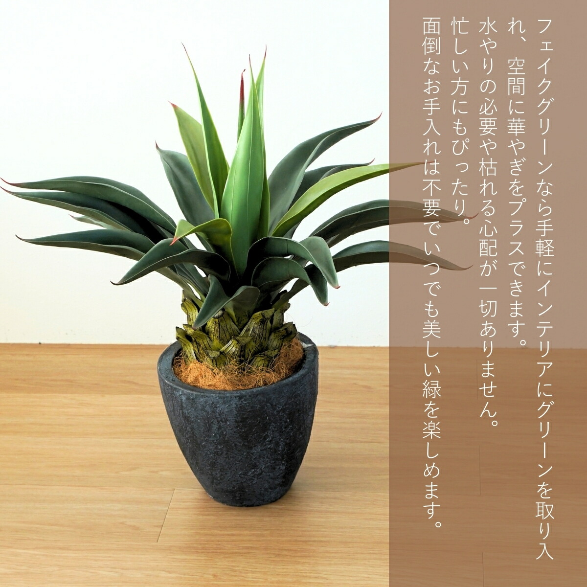 楽天市場】リュウゼツラン アガベ 多肉植物 鉢 フェイクグリーン 65cm