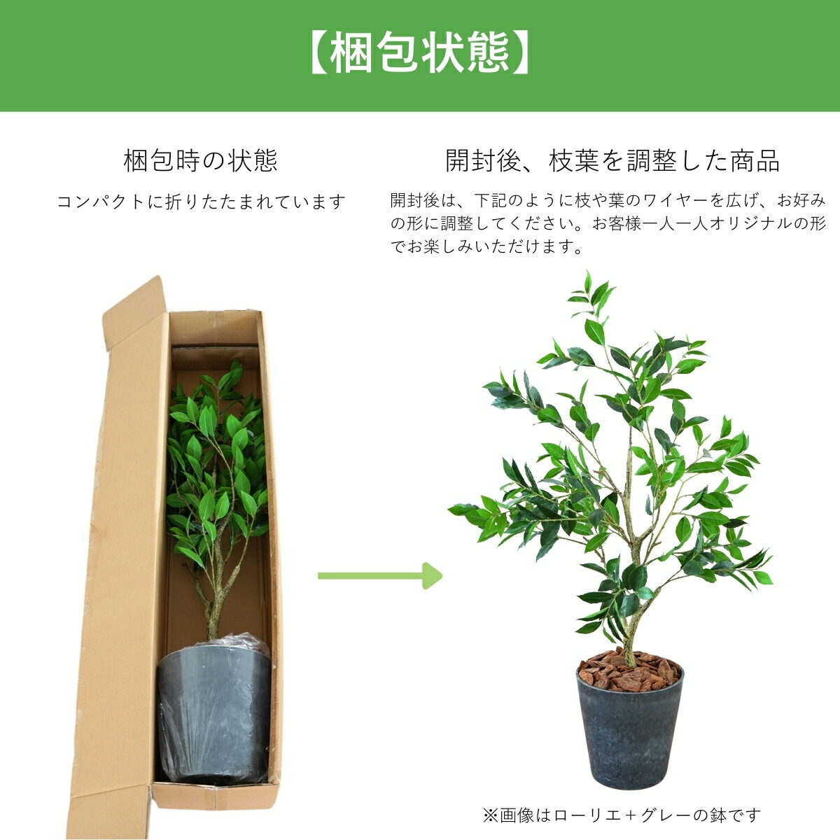 楽天市場】ガジュマル 花言葉 風水 玄関 観葉植物 フェイクグリーン