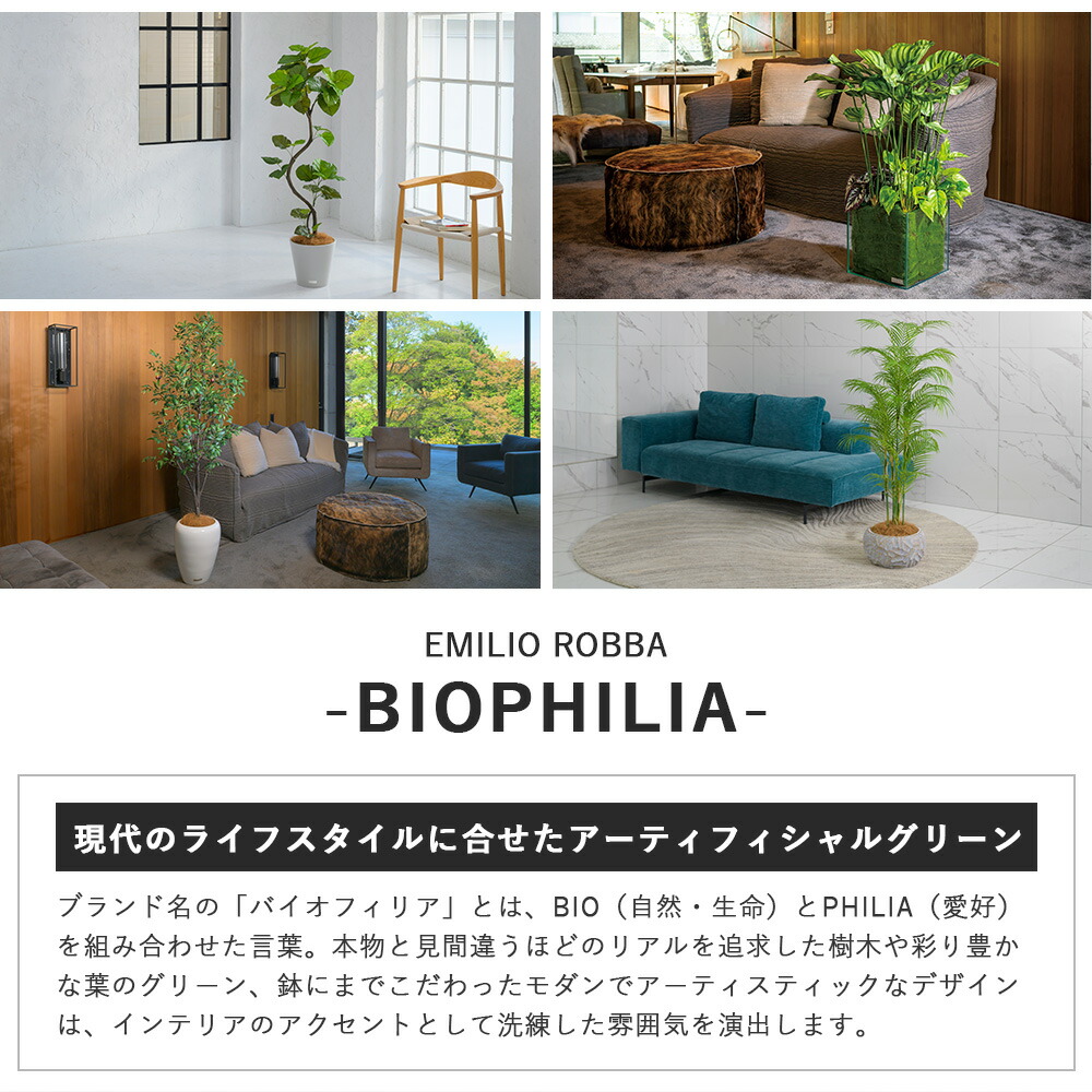 楽天市場】観葉植物 ユッカラン4L 造花 インテリア おしゃれ 大型