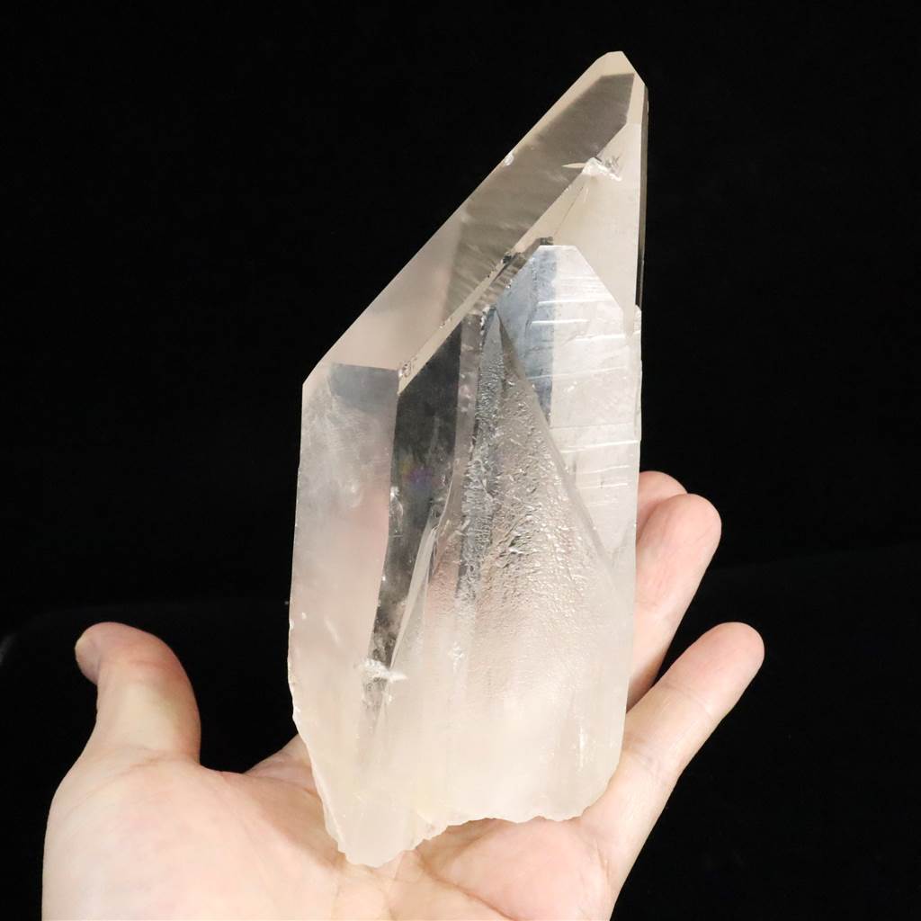 楽天市場】ブラジル産レムリアンシード アンセストラルタイムライン