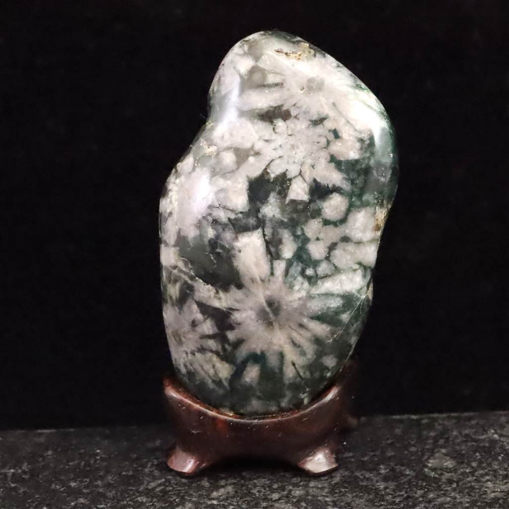 楽天市場】菊花 石 根尾谷の通販