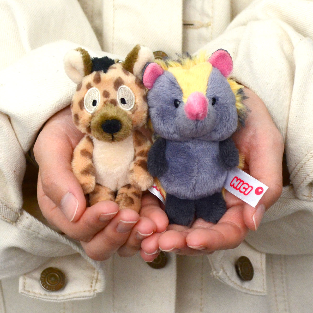 楽天市場】【日本正規代理店】NICI(ニキ) WF2023 テンレック