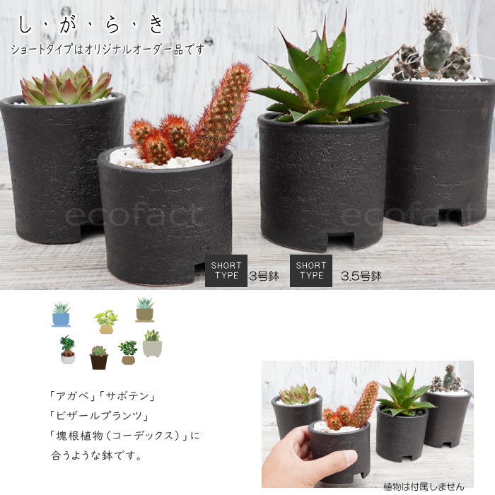楽天市場】陶器鉢 植木鉢 3号ショートタイプ 筒型 ブラック 艶消し黒