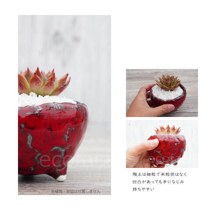 楽天市場】陶器鉢 植木鉢 ミニポット 底穴あり BUNGA POT マグマ（S