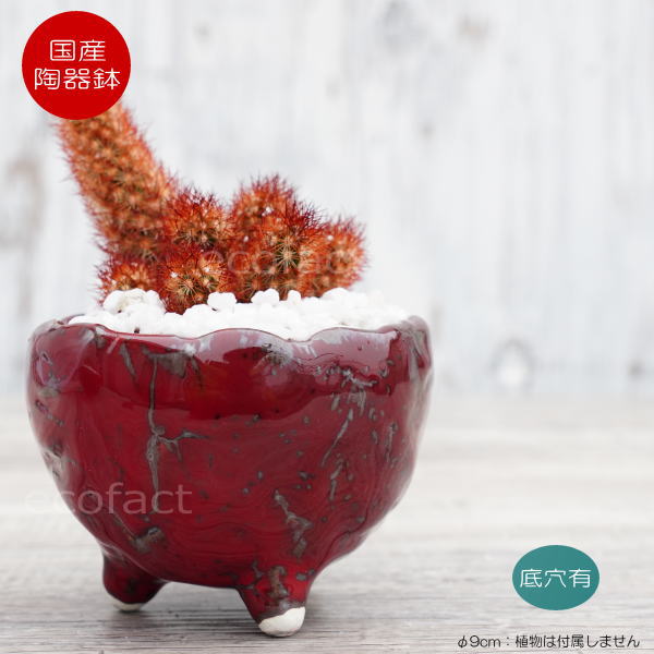 楽天市場】陶器鉢 植木鉢 ミニポット 底穴あり BUNGA POT マグマ（SS