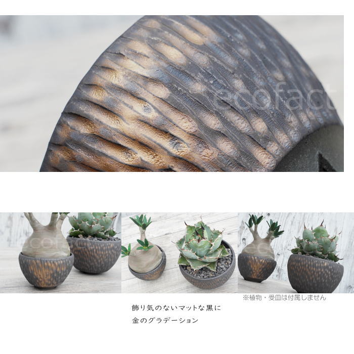 楽天市場】陶器鉢 植木鉢 ミニポット 底穴あり BUNGA POT カービング