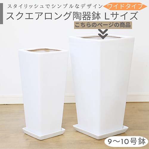 楽天市場】＼ポイント5倍／スクエアロング陶器鉢 ワイド Lサイズ