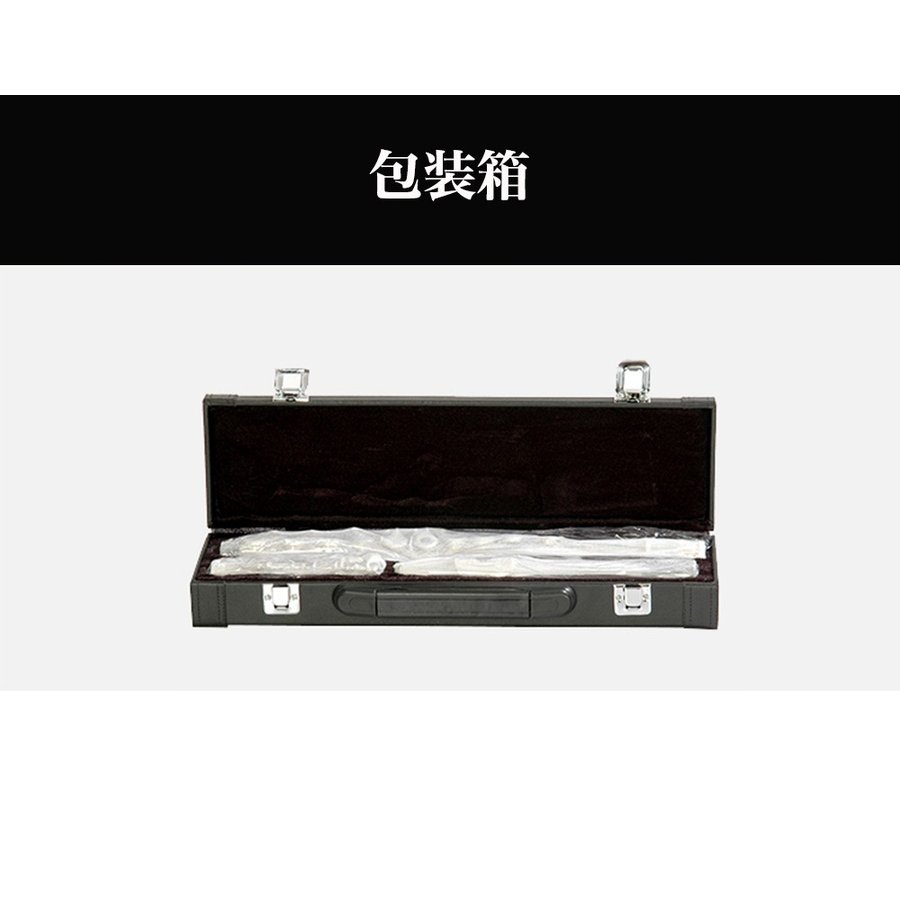 楽天市場】＼ 楽天1位 ／ フルート 初心者 ハードケース セット 楽譜 C