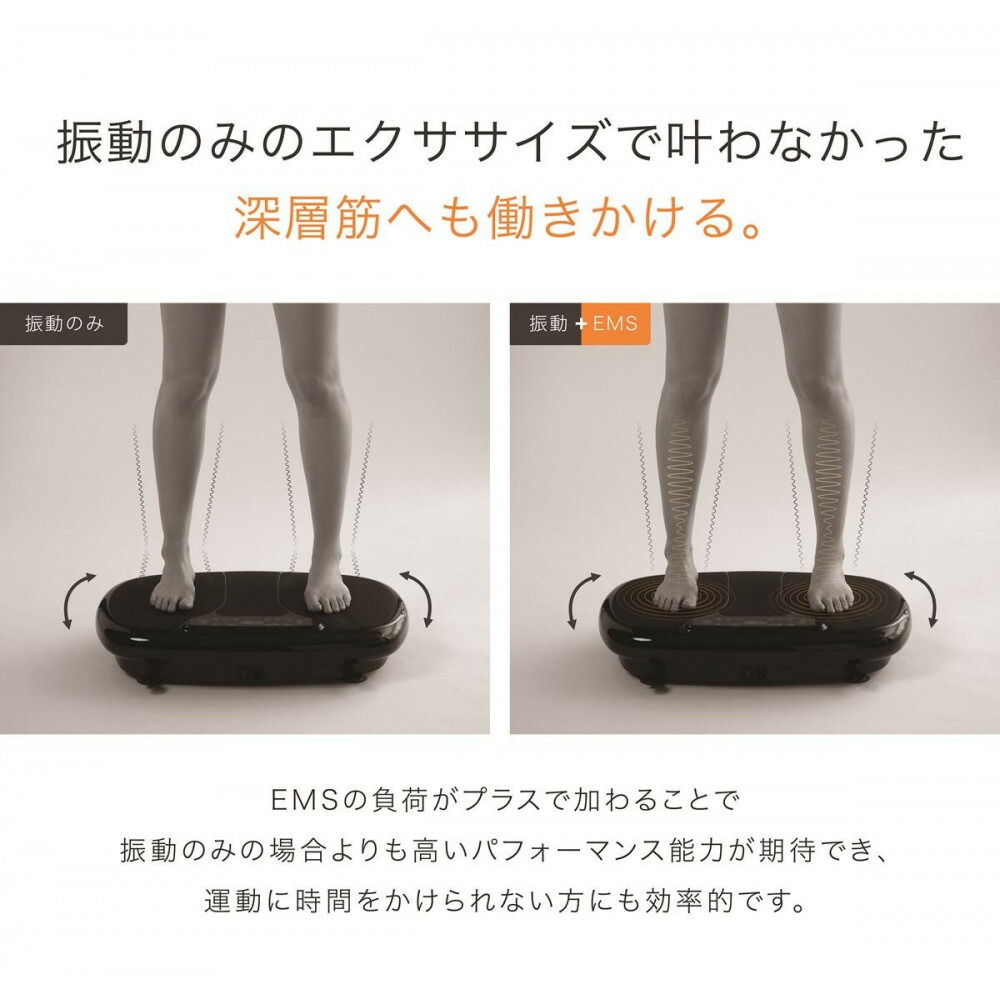 楽天市場】【ふるさと納税】EMS エクササイズ 器具 MYTREX W FIT PRO