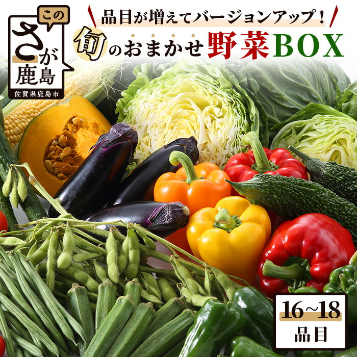楽天市場】【ふるさと納税】旬の野菜 おまかせ野菜BOX 16~18品目