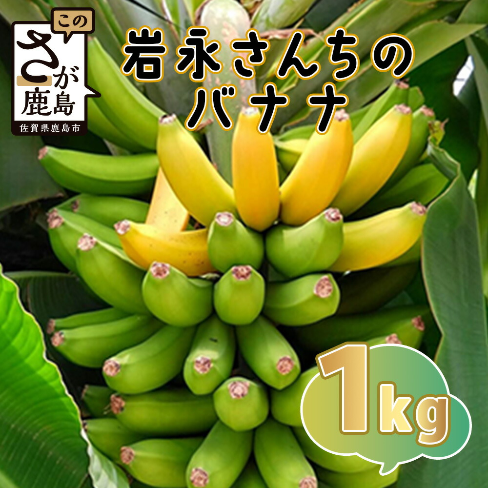 楽天市場】【ふるさと納税】稀少！鹿島産バナナ 約1kg（5〜8本）｜岩永