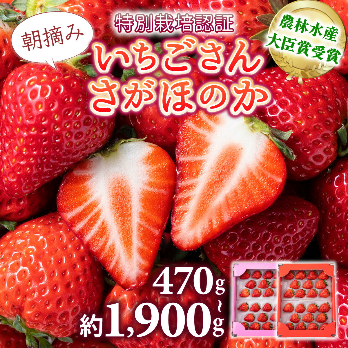 楽天市場】【ふるさと納税】☆2026年出荷の先行予約☆ いちご いちご